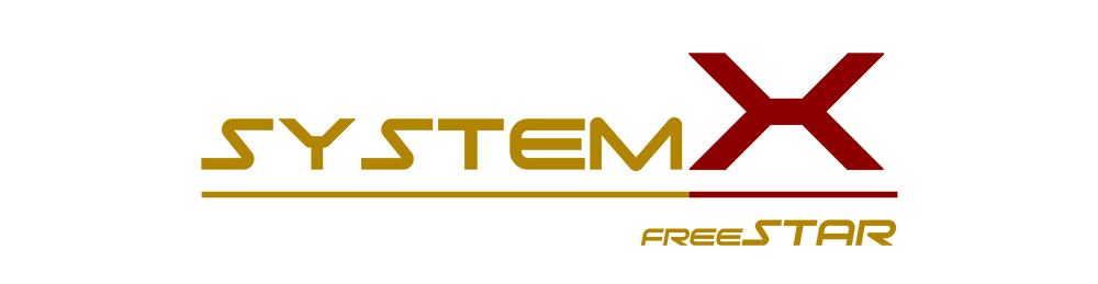 System X DMR